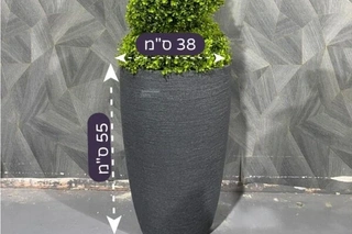 כד פלסטיק ברזילאי 55 ס"מ