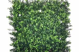 קיר ירוק מלאכותי דפנה 50X50 ס"מ
