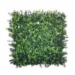 קיר ירוק מלאכותי תאשור אנגלי+פרח לבן 50X50 ס"מ